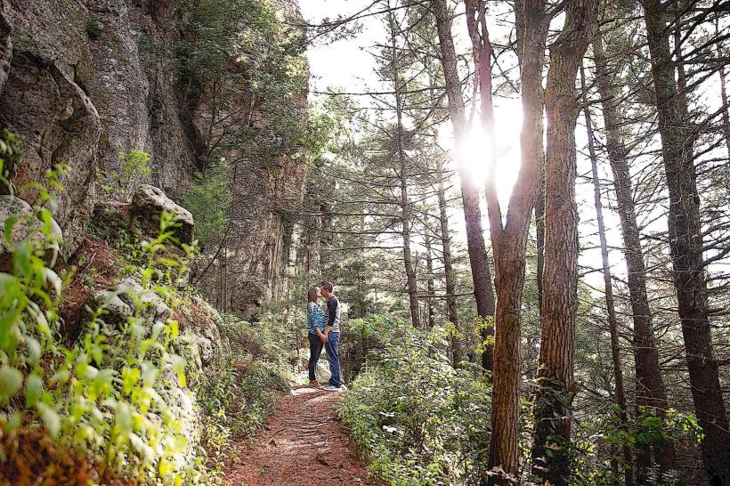 Black River State Forest