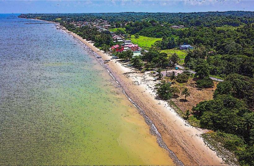 Cedros Beach