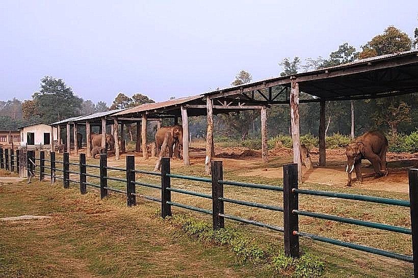 Elephant Breeding Center
