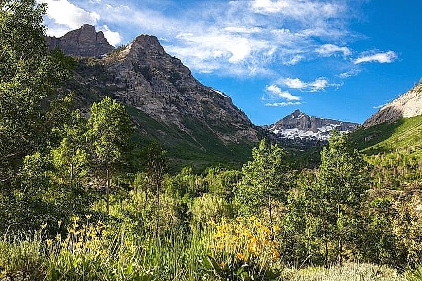 Lamoille Canyon