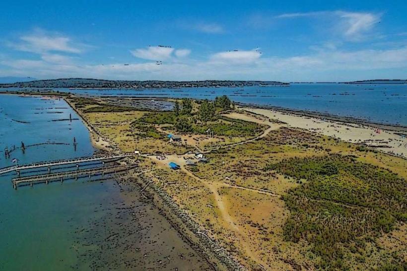 Jetty Island