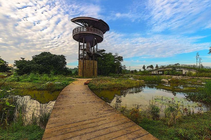 Kranji Marshes