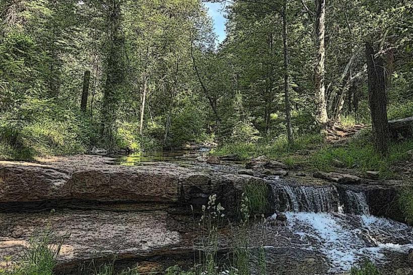 Horton Creek Trail