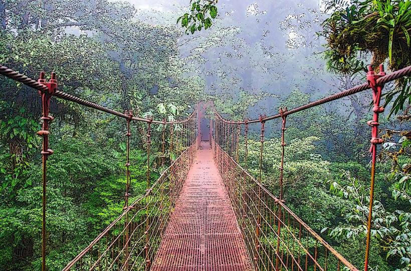 Резерват Monteverde Cloud Forest