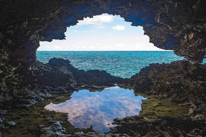 Animal Flower Cave