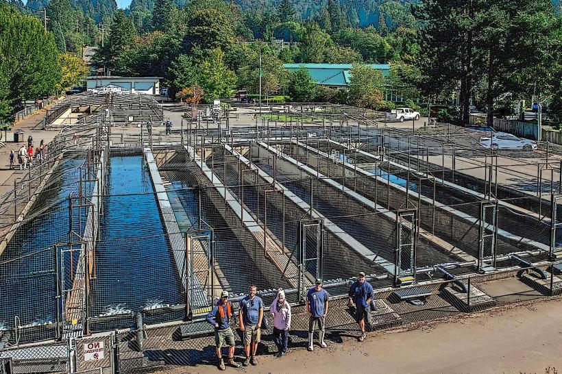 Issaquah Salmon Hatchery