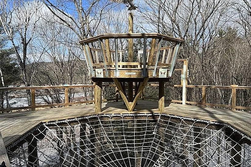 Vermont Institute of Natural Science (VINS)