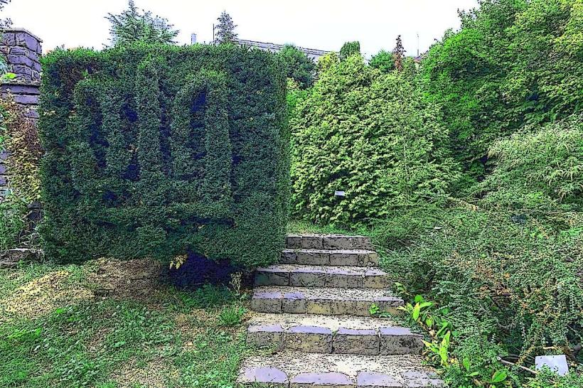 Uzhhorod Botanical Garden