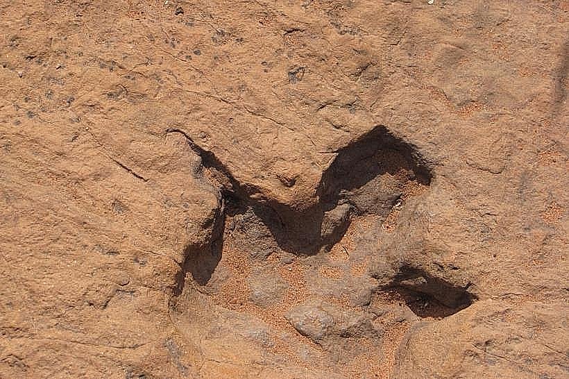 Dinosaur Footprints (Otjihaenamaparero)
