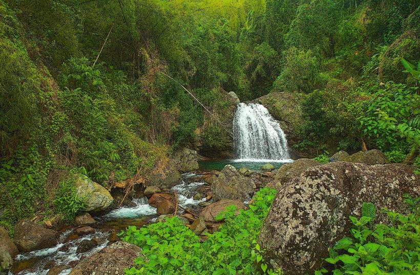 Национален парк Blue Mountains