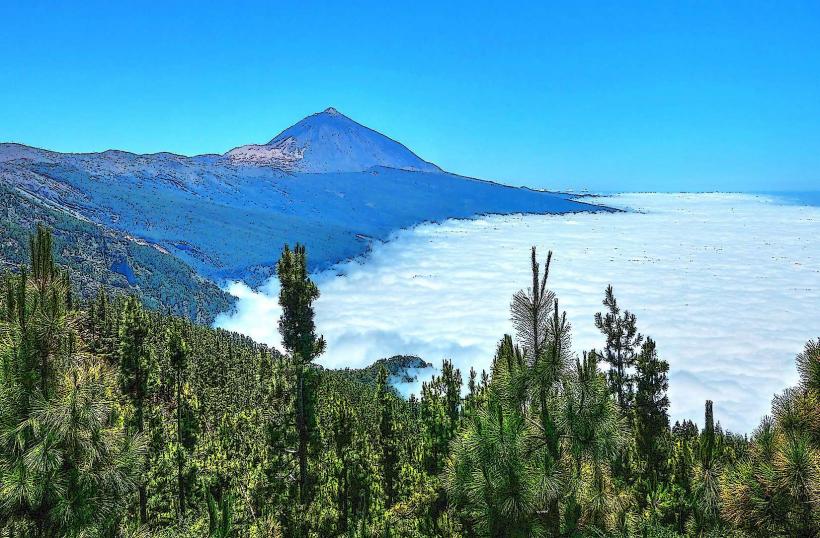 Parque Nacional de la Corona Forestal