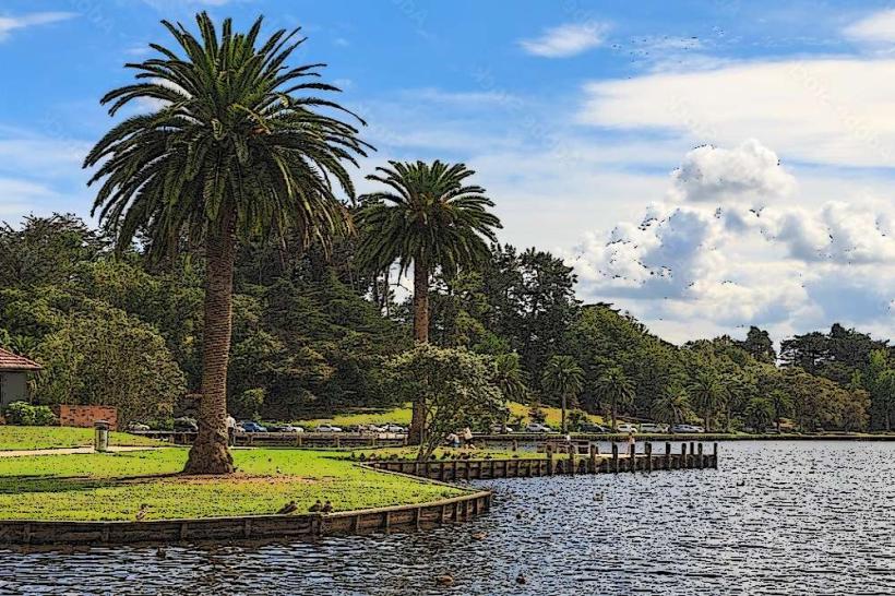 Lake Rotoroa