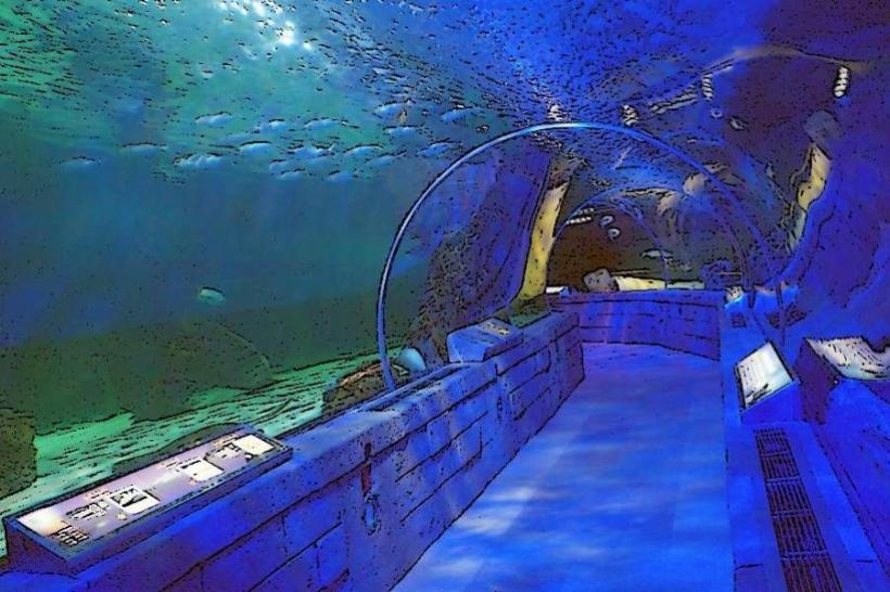 SEA LIFE Minnesota Aquarium