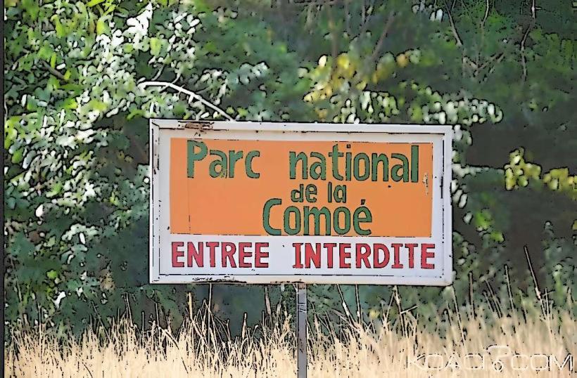 Parc National de la Comoé