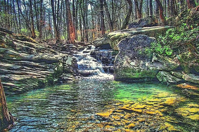 Moss Rock Preserve