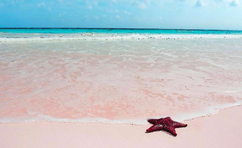 Плажът Pink Sands