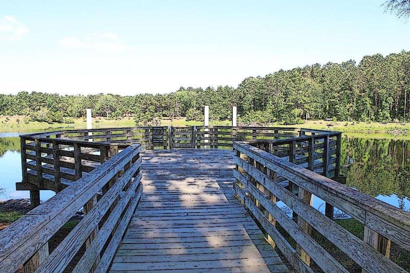 Jarvis Creek Park